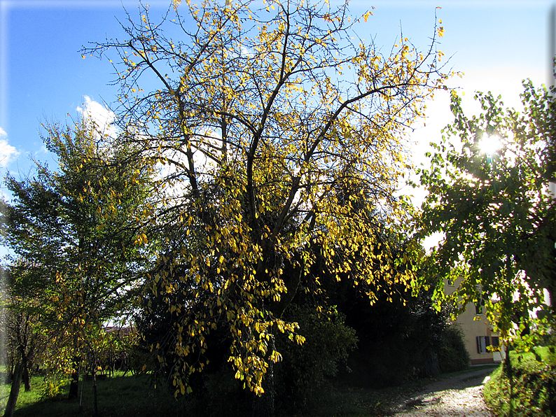 foto Colli Asolani in Autunno